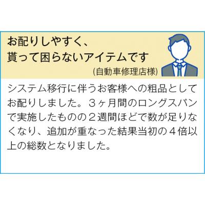 shouhintm5
