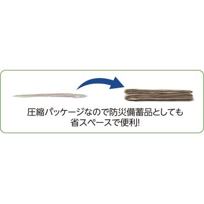 shouhintm11