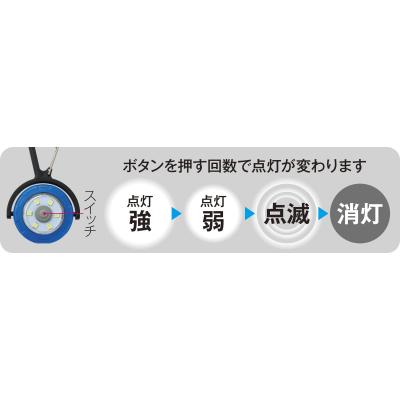 shouhintm10