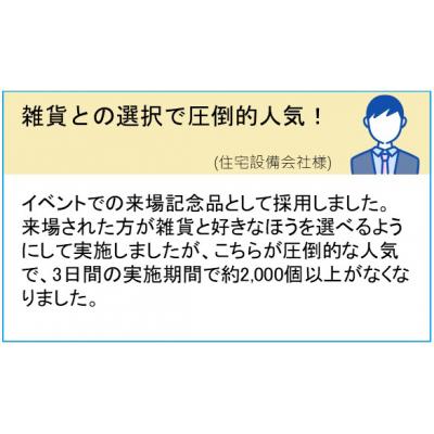 shouhintm3