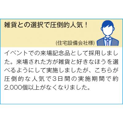 shouhintm3
